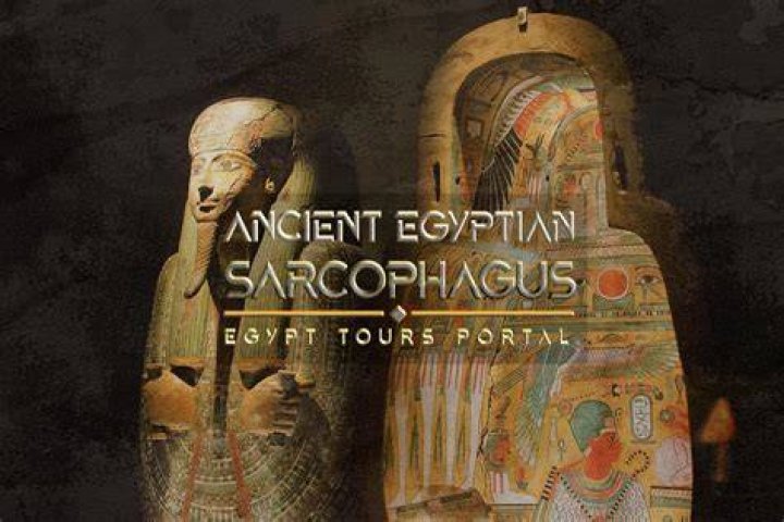 Hello, Hi Egyptian Bak أنا مستنياك من الصبح يا أستاذ شبار&rlm;ة نجوي