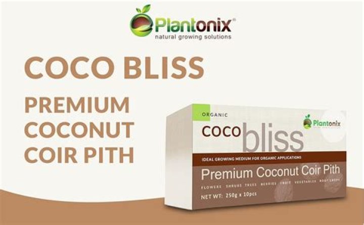 Heluvcoco Coco Bliss Wiki, Age, Boyfriend 2023