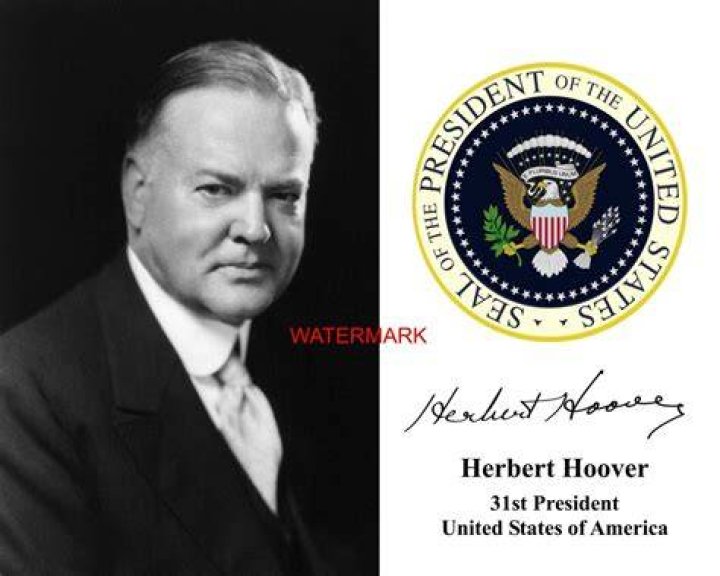 Herbert Hoover (18741964) N31St President Of The United States Hoover