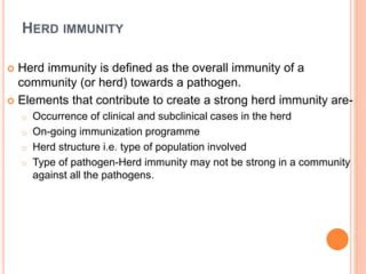 Herd immunity may not be achievable in fight against coronavirus Fox News