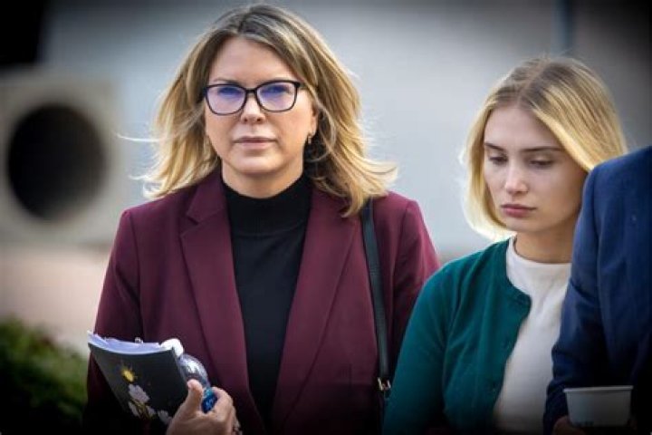 Hidden Hills Socialite Rebecca Grossman's Case Hearing Begins, What Was