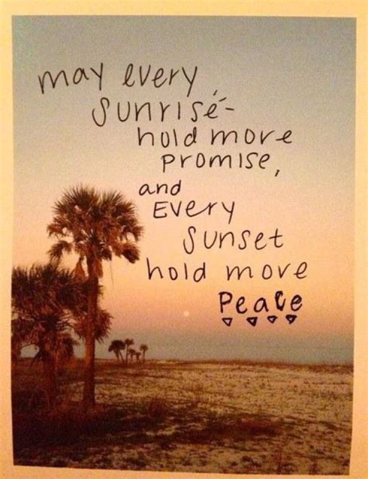 Hippie Quotes About Peace. QuotesGram