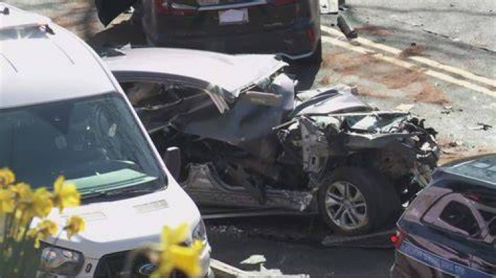 Horrible Accident Sandra Boynton Obituary News; What happened to