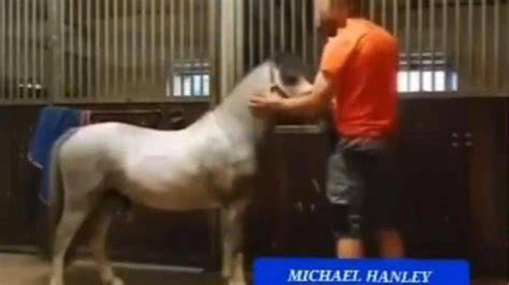 horse video orange shirt guy