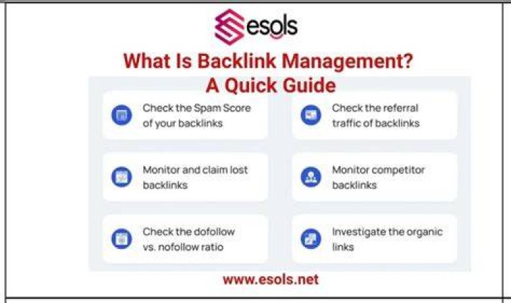 How Backlink Management Is Done A Stepbystep Guide