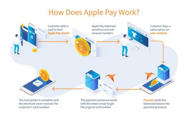 How Does Apple Pay Work? (Infographic) Gotechtor