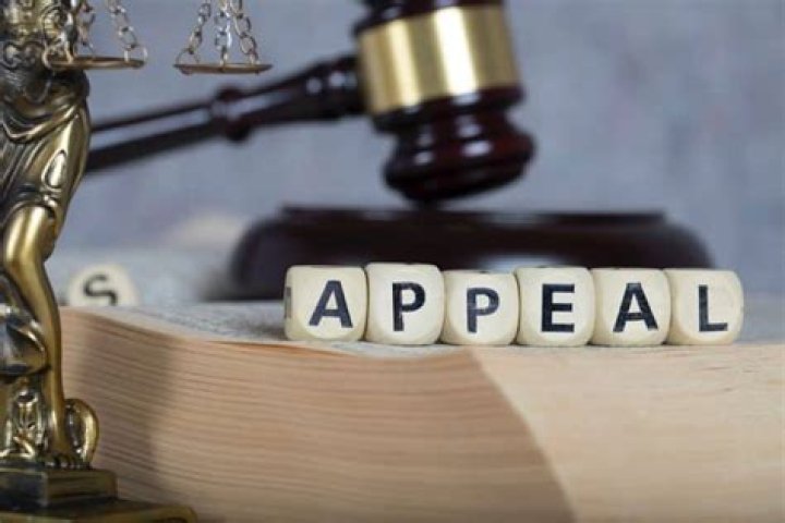 How Long Do Appeals Take on TikTok TechCult
