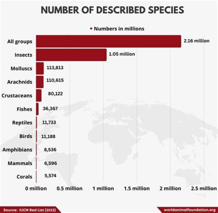 How many animals are in the world?