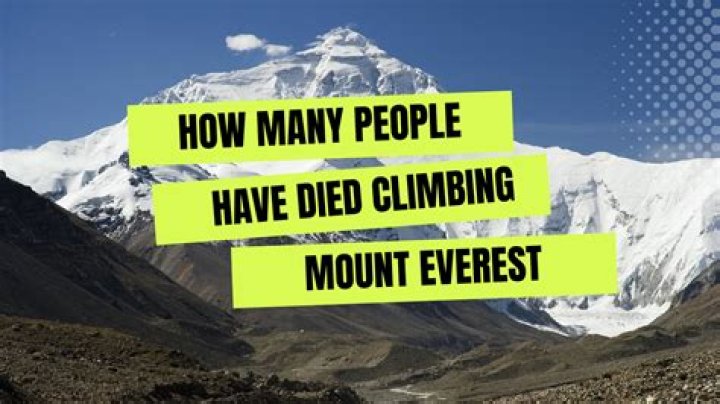How Many People Have Died at Disney World?