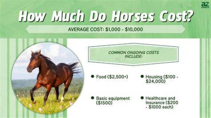 How Much Does 'Ti Ti Ti' Make? Earnings Net Worth Popnable