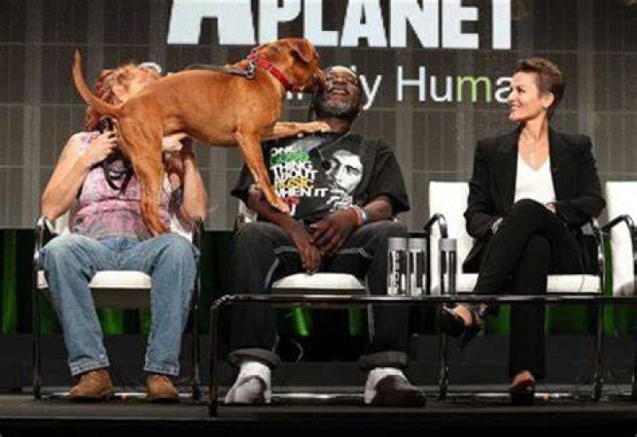 How much is Earl Moffett worth in Pitbulls and Parolees? Tuko.co.ke