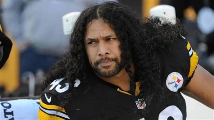 How much is Troy Polamalu worth? (Celebrity Exclusive)