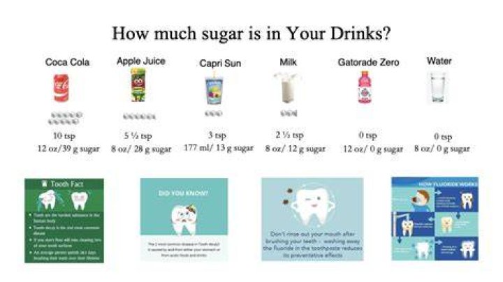 How Much Sugar Is In Coke? A Spectacled Owl