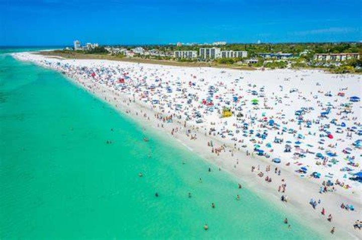 How Siesta Key 's Chloe Trautman Lost 50 Pounds and Transformed Her