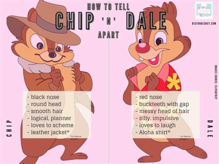 How Tall Are Chip And Joanna