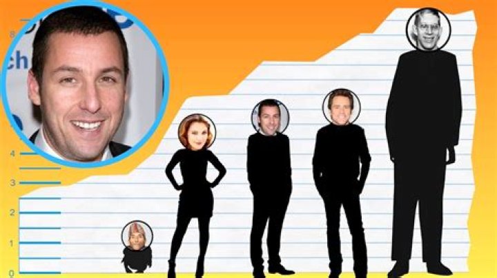 How Tall Is Adam Sandler? (Explained) Rodina News