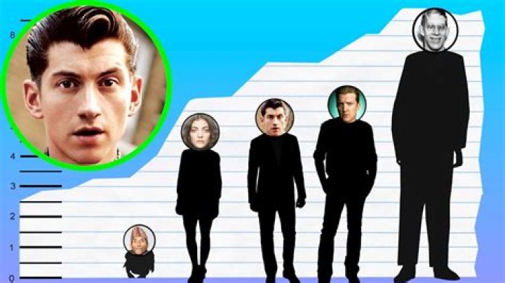 How Tall Is Alex Turner of Arctic Monkeys? Height Comparison! YouTube