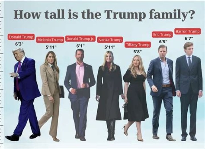 How Tall Is Donald Trump? Height Comparison! YouTube