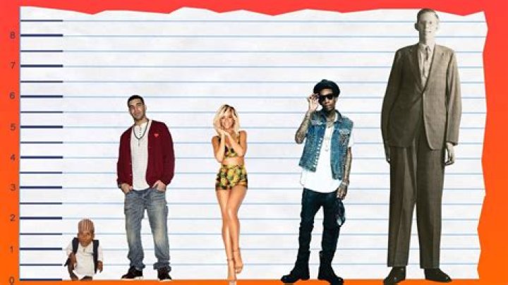 How Tall Is Drake? Height Comparison! YouTube