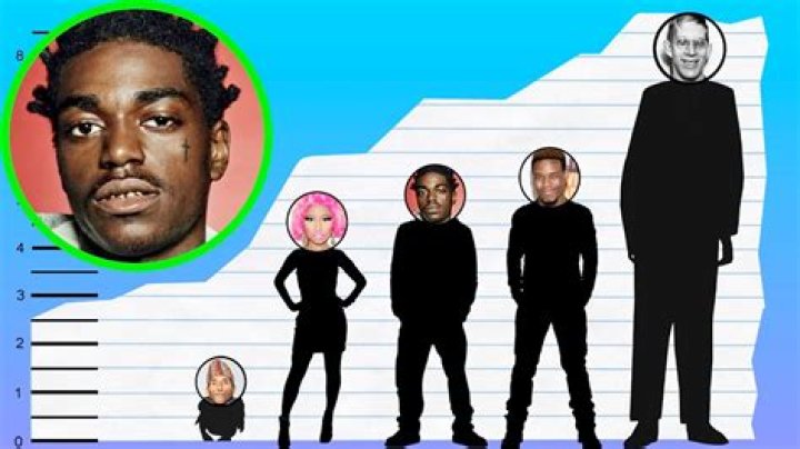 How Tall Is Kodak Black? Height Comparison! YouTube
