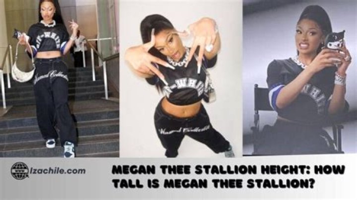How Tall Is Megan Thee Stallion? 15 Interesting Facts About Her