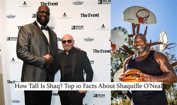 How tall is Shaq new wife? Celebrity.fm 1 Official Stars, Business
