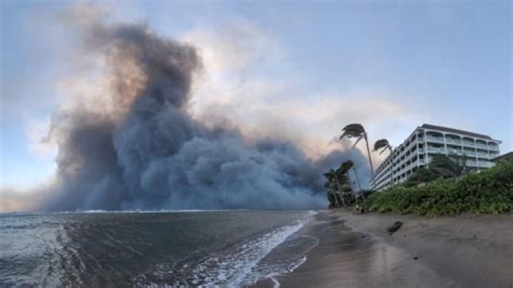 How the Hawaii fires will take a toll on the state&rsquo;s natural treasures