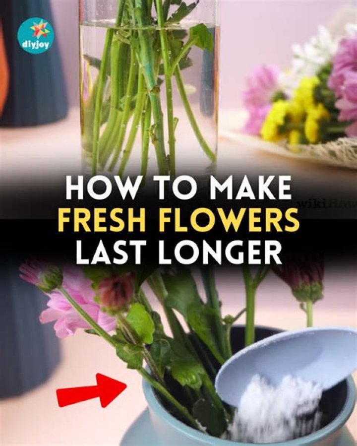 How to Make Flowers Last Longer POPSUGAR Smart Living