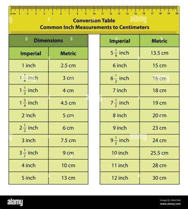 How To Measure Brady Noon's Height In Centimeters (cm)