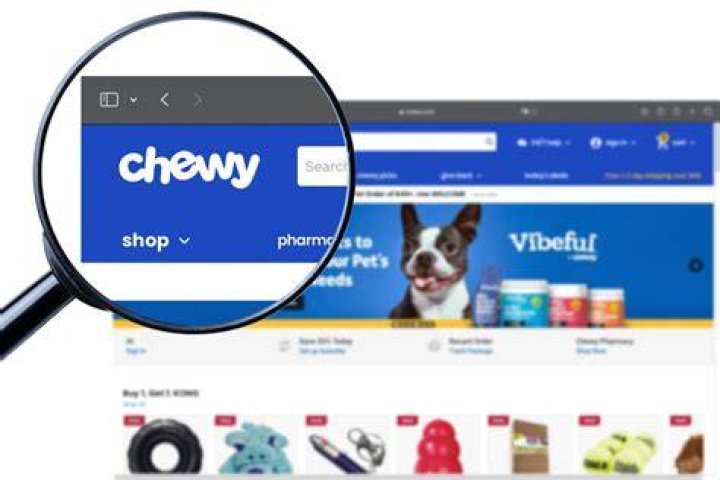 How to navigate Chewy Website by B&D Product & Food Review YouTube