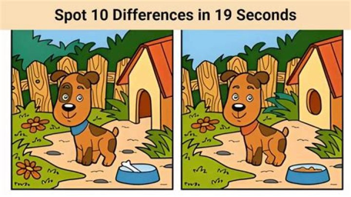 How To Spot The Differences Between Peruvian, Indian And Brazilian Hair