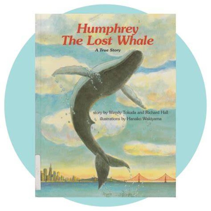 Humphrey The Lost Whale A True Story YouTube