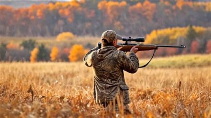 Hunting for Pampers