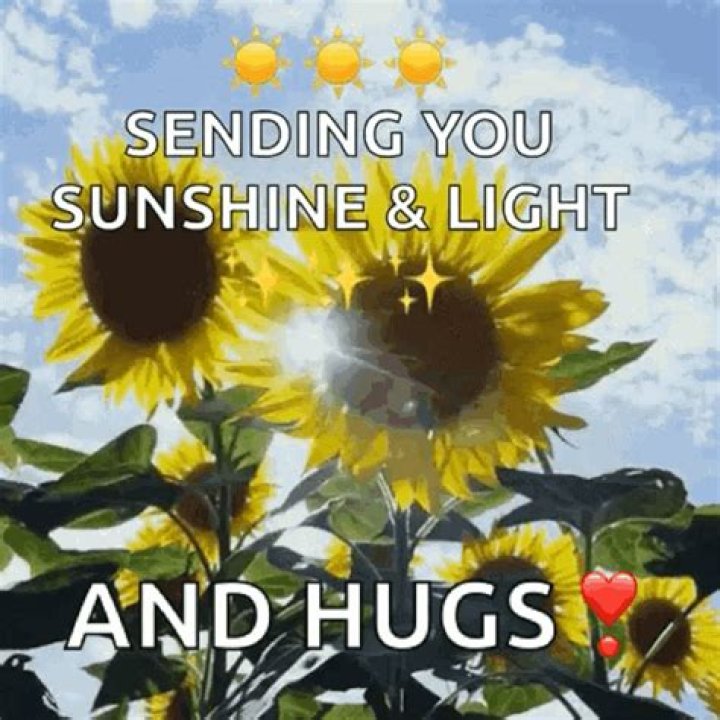 I love you my sunshine. Short and sweet love poems are a great way to