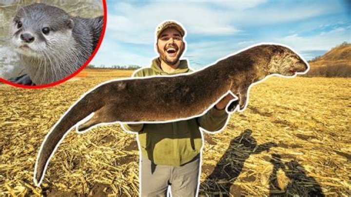 I TRAPPED a GIANT OTTER at My FARM!!! (Rare Catch) YouTube