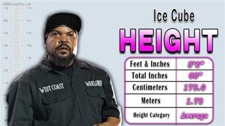 Ice Cube Height
