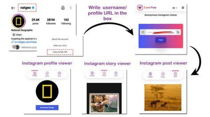 IG Viewer for Instagram Amazon.co.uk Appstore for Android