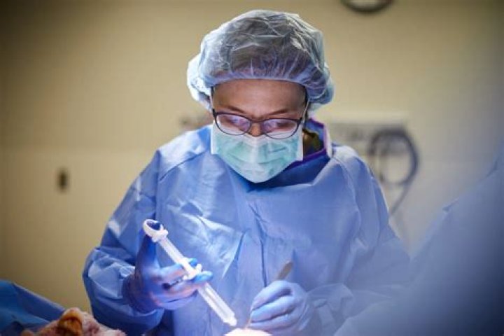 Image of American plastic surgeon, Dr. Paul Nassif