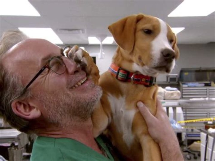 Image of Dr. Jeff Baier net worth from Dr. Jeff: Rocky Mountain Vet show