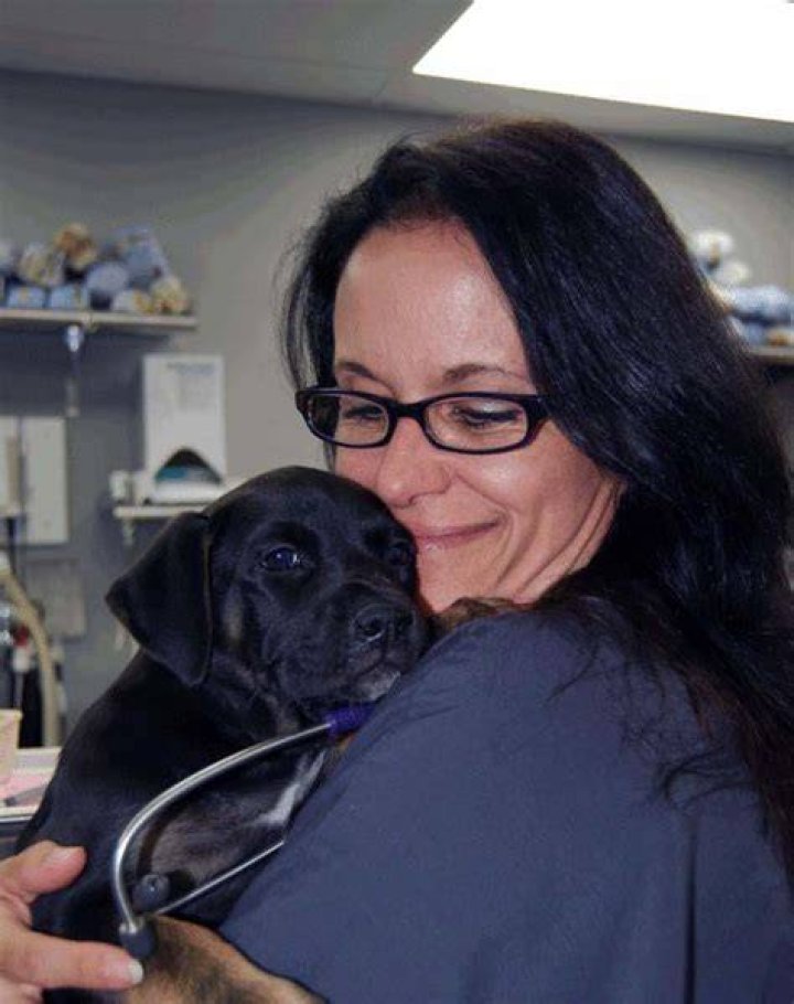 Image of Dr. Shelly Hulen net worth from Dr. Jeff: Rocky Mountain Vet show