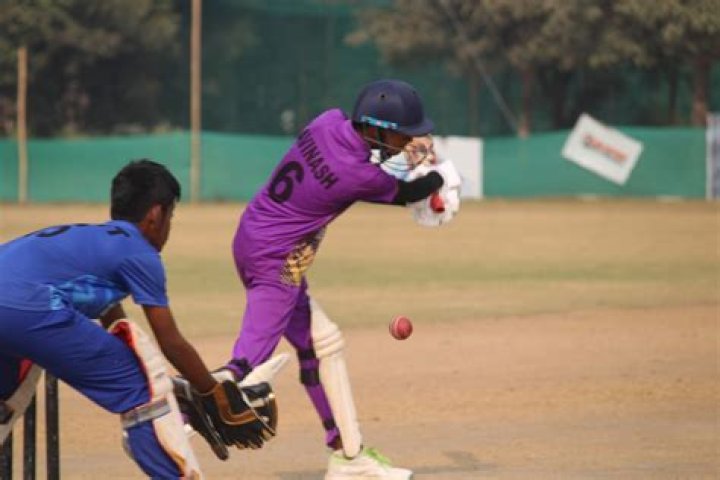 Indiaborn US cricket player naturalised American citizen