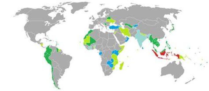 Indonesian nationality