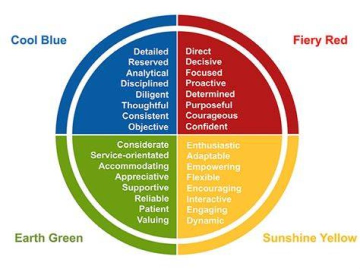 Insights Discovery Colorful Leadership DEVELOR