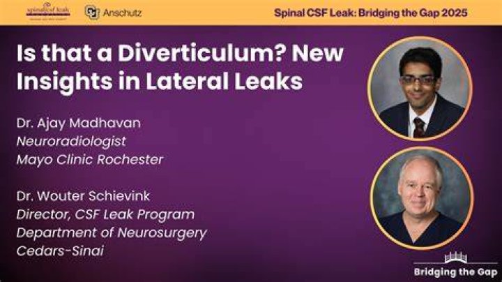 Insights Into The "cristinacarmella Leaks"