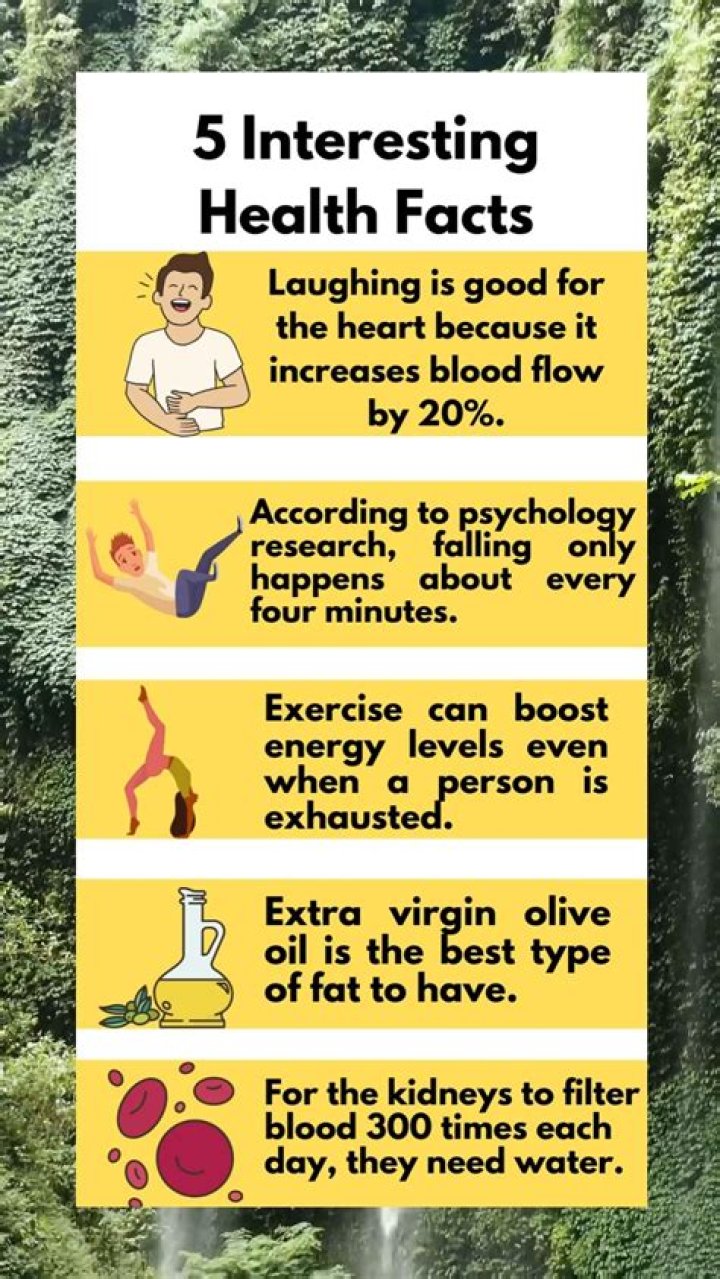 Interesting Health Facts On Meyer Lemon dailyonefruit