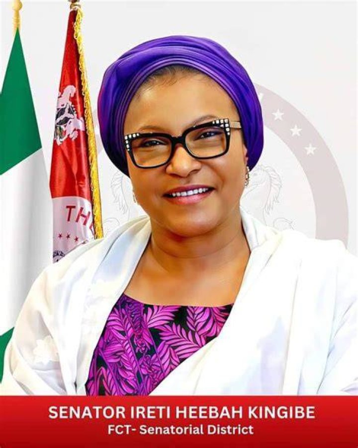 Ireti Kingibe Nigerian politician who caused massive upset in FCT's