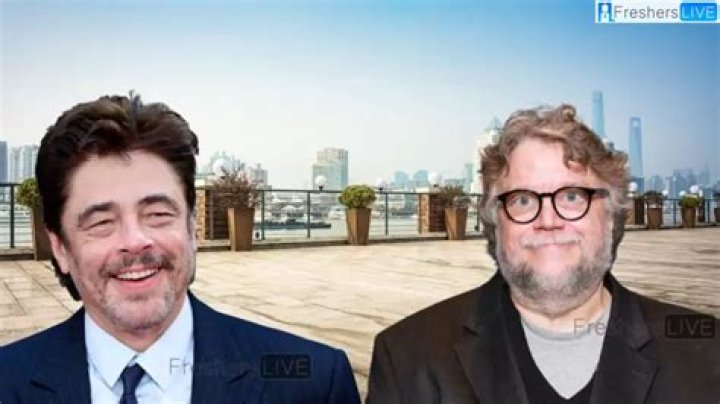 Is Benicio Del Toro Related to Guillermo Del Toro? Who are Benicio Del