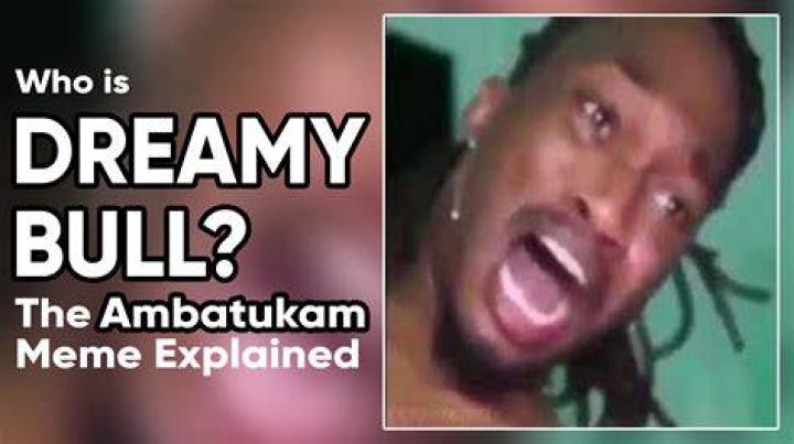 Is Dreamybull Arrested? Who is Dreamybull? News