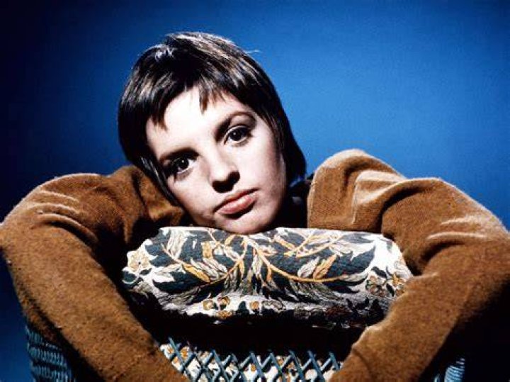 Is Liza Minnelli Still Married? Who Is Her Current Husband?