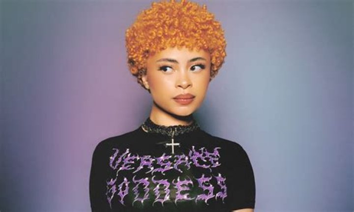 Is Spice Dead Or Still Alive Has Grace Latoya Hamilton Had Plastic